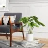 21" X 23" Artificial Monstera Arrangement In Ceramic Pot - Threshold™ 2 21" X 23" Artificial Monstera Arrangement In Ceramic Pot - Threshold™ -Home Decor Shop GUEST f9d6b249 48b9 4058 95a4 5e610fe21d3f